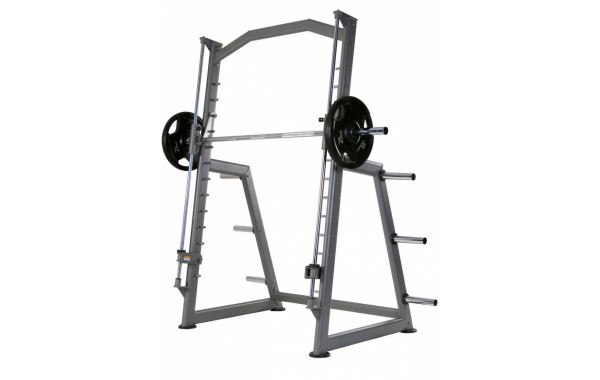 Машина Смитта BenCarFitness ТS-P008 600_380