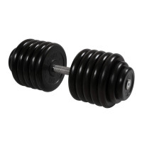 Гантель Профи с вращающейся ручкой, 58,5 кг MB Barbell MB-FdbM-B58,5