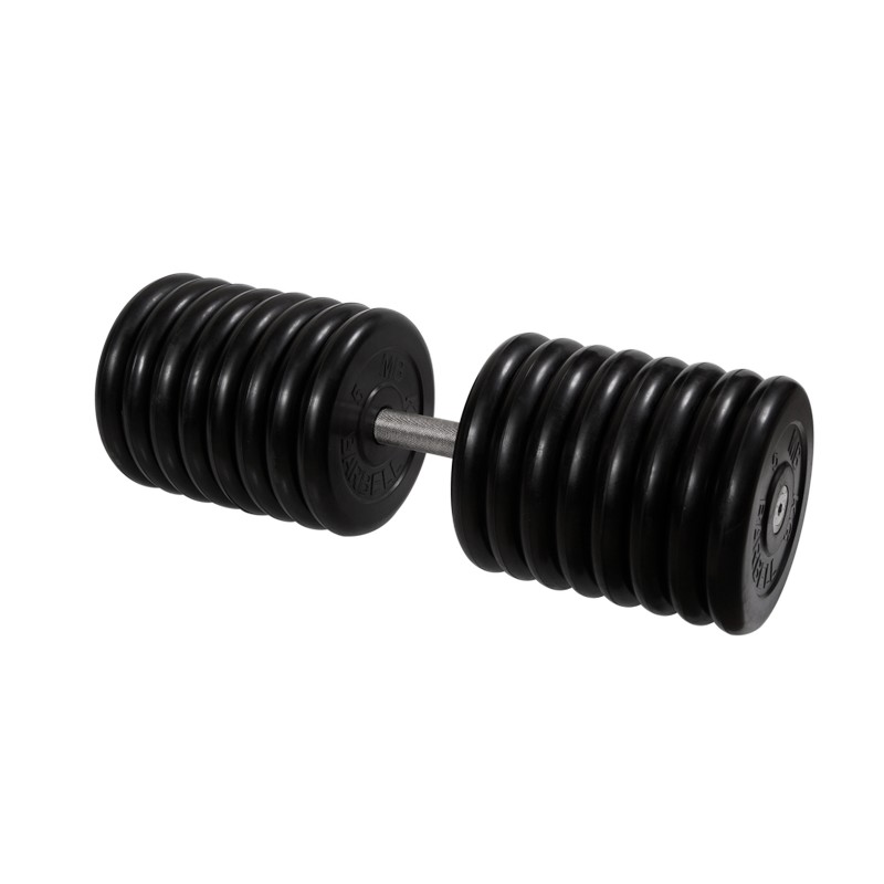 Гантель Профи с вращающейся ручкой, 81 кг MB Barbell MB-FdbM-B81 800_800